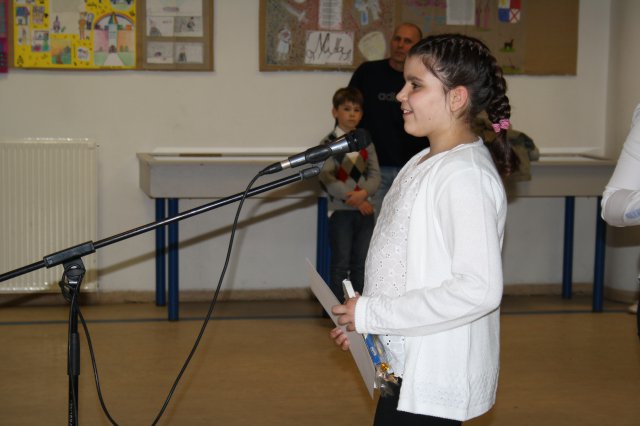 Megyei helyesírási verseny